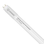 Ledvance LED Tube T8 Value (HF) Standard Output 8W 900lm - 865 Daylight | 60cm - Replaces 18W