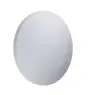 Ledvance LED Bulkhead Orbis Pure 300 14W 830 1100lm White IP20 | Warm White