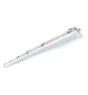 Noxion LED Waterproof Batten Poseidon 8250lm - 840 Cool White | 150cm - Dali - Through Wiring (5x2.5mm2)