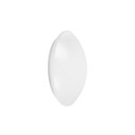 Ledvance Surface Circular 250 White 13W 920lm - 830 Warm White | IP44