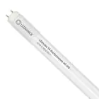 Ledvance LED Tube T8 Performance (HF) High Output 20W 3100lm - 865 Daylight | 150cm - Replaces 58W