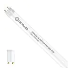 Ledvance LED Tube T8 Performance (EM/Mains) High Output 7W 1100lm - 840 Cool White | 60cm - Replaces 18W
