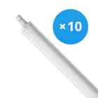 Multipack 10x Philips LED Waterproof Batten Ledinaire WT060C 30W 3600lm - 840 Cool White | 120cm