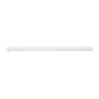 Noxion LED Waterproof Batten Ecowhite V2.0 50W 5000lm - 840 Cool White | 150cm - Through Wiring (3x1.5mm2) 