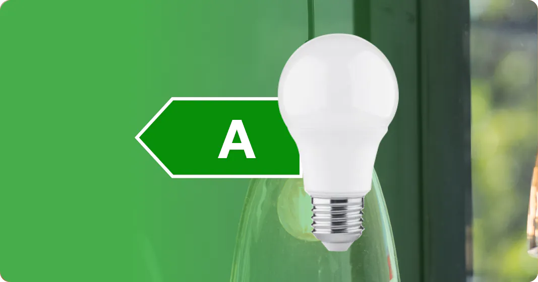 EU ban on CFL 